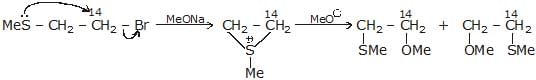 Chemical Reaction: Nucleophilic Substitution Reactions | Chemistry for JEE Main & Advanced